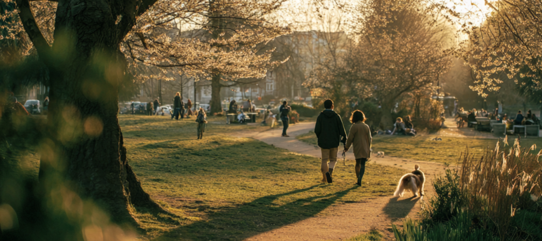 Zon is fijn. Mensen niet altijd.