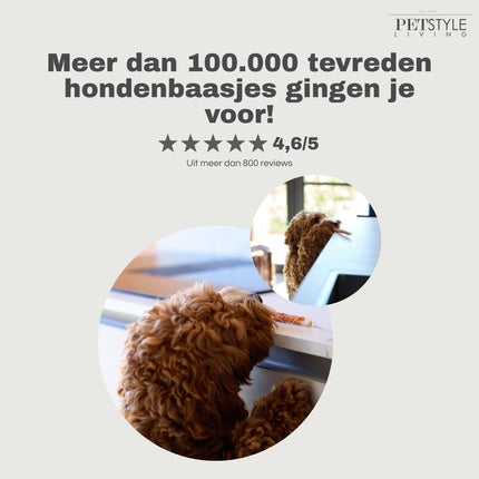 Petstyle Living - Bâtonnets torsadés avec canard 12,5 cm - 30 pièces 