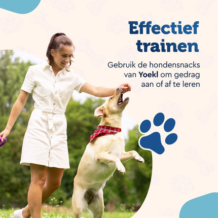 YOEKL - Bâtonnets à mâcher au poulet 20 cm, 6 pièces